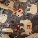 갈곡스테이 | 갈곡스테이 만족스러웠던 촌캉스 애견 펜션