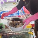 지연상회 - 밀양시 표충로 1111 | 지연상회