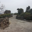 고사리민박 이미지