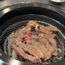 꽁술 이미지