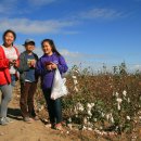 열린농장 이미지