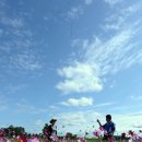 한강시민공원 이미지