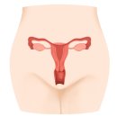 행복한산부인과의원 이미지