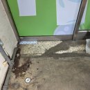 선경 세탁 이미지