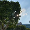 임마누엘온누리약국 이미지