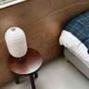 스테이시호일 이미지