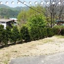 포천냉면 이미지