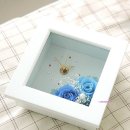 더봄플라워