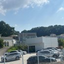 [김포 글램핑]서울근교 당일치기 캠핑, 캠프 그레잇 후기🏕️💚💙