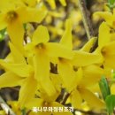 청운조경 이미지