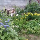 연임농장 이미지