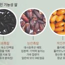 현미용
