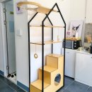 고양이무마취미용 무냥무냥 대구점 이미지