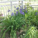 종곡마을 이미지