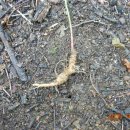 강교1리 이미지