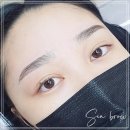 차 브로우