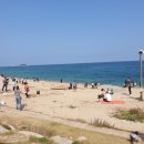 바다정원 이미지