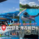 진양호캐리비안 이미지