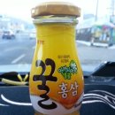 연곡지 | 양주송어축제후기~^^(1부)