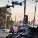 베이프247코지