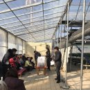 구정염소농장 | [아이들과 잘놀기][용인] 딸기따기 체험하고 왔어요! 쭝이랑체험농장