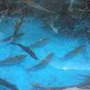 대물림식당 이미지