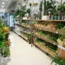 (주)이마트검단점 이미지