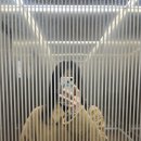 피아노앨리스학원 | 261-2. 이 세상이 얼마나, 얼마나 아름다웠는지!