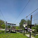 한국체대 가온 태권도 | 공릉동태권도 한국체대 강북태권도