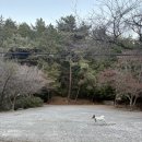 문동휴양림 주차장 이미지