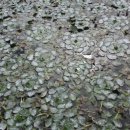 옥구저수지 이미지