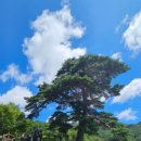 와운골가든 이미지