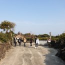 가족여행민박 이미지