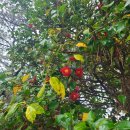 동백미장원 이미지