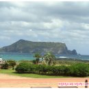 제주 가을여행 --- 제주 아쿠아 플라넷 이미지