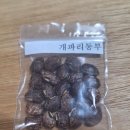 토종동부콩 3종 (마감) 이미지
