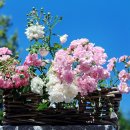 별별상상공원(역후공원)