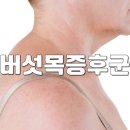 베르핏PT앤필라테스