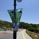 서하식육식당 | 영주여행 첫째날 “영주 어린이선비축제”후기 “영주솥뚜껑삼겹살”후기