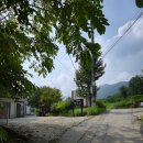 퍼니멍멍 이미지