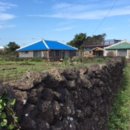 구좌농협주유소 이미지