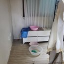 5520 | 대전 베란다 누수 생겼을 때 믿고 맡긴 ‘대전누수’ 후기