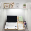 조선시대 마인드맵 | 2026초등 임용 후기(+공부법, 임용템 추천, 인강, 사이트, 퀴즐렛공유)