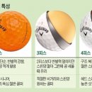 모스트 골프 아카데미 이미지