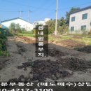 횡성 읍사무소 이미지