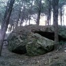 동의의료원 이미지