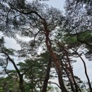 제천오락실 | 제천 가볼만한곳 제천 제1경 의림지 용추폭포 힐링여행 후기