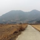 중마교