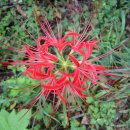 서해2농장 이미지