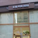 디이즈포독 네이버블로그